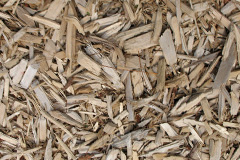 biomass boilers Roche