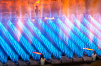 Roche gas fired boilers